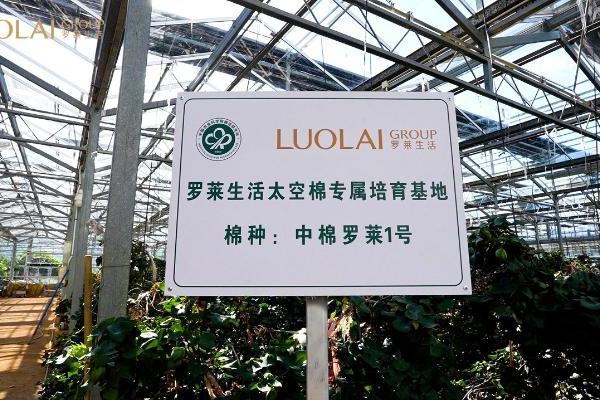  罗莱生活交流团赴中棉所三亚基地考察交流，溯源航天棉种，共探科技棉种与超柔未来 