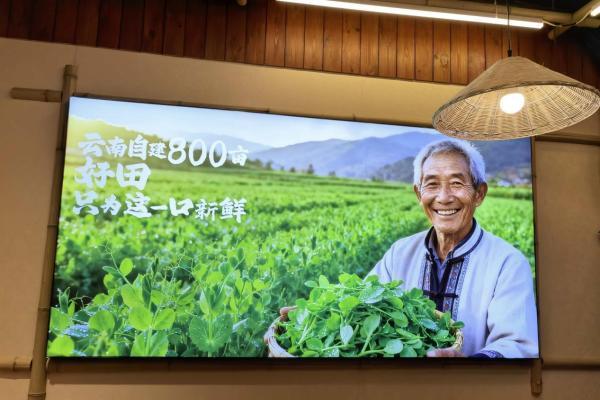 800亩自建基地：乔杉杉生烫牛肉米线用供应链革命筑牢“鲜度护城河” 