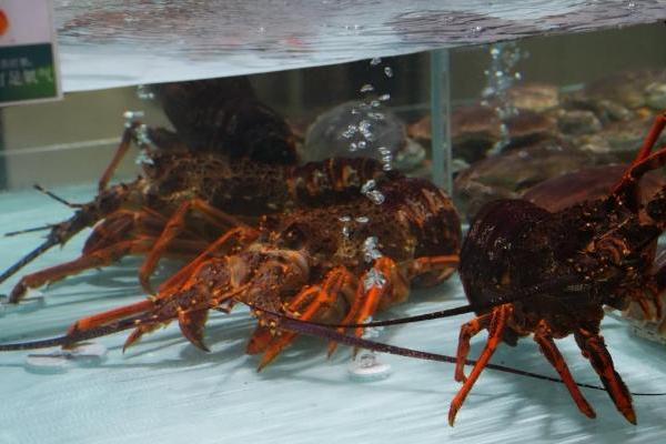 聚餐食材、酒水饮料、出行日用……元旦在京东七鲜超市一站式购齐！