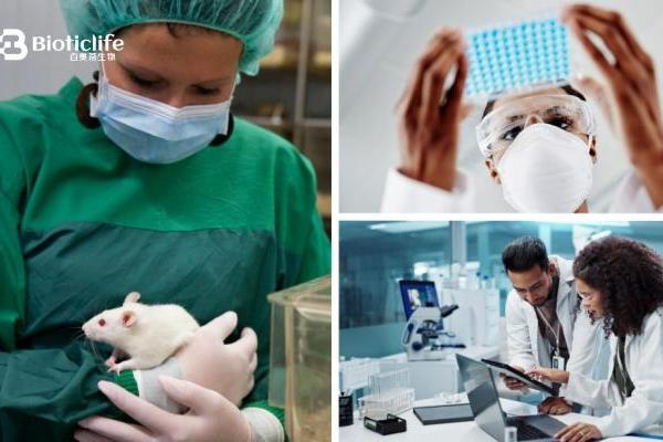从动物模型到人体应用：百奥蒂推动再生医学关键跃迁 