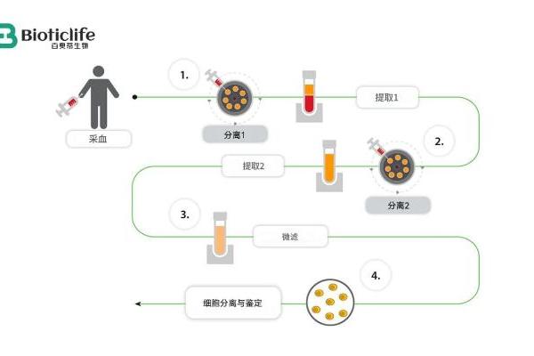 从动物模型到人体应用：百奥蒂推动再生医学关键跃迁 