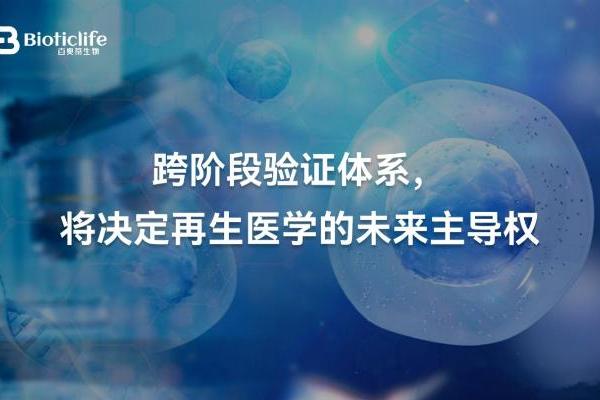 从动物模型到人体应用：百奥蒂推动再生医学关键跃迁 