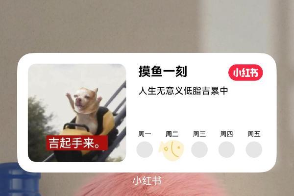 告别“静止”桌面！HarmonyOS 6互动卡片：会动、会玩、会破框的桌面伙伴 