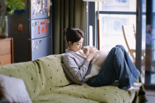 都在抢三筒用户！统帅却在关注用户使用体验 