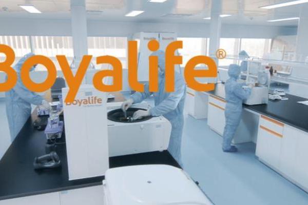 2025干细胞存储机构调研：高质量体系成行业竞争优势，博雅干细胞受关注 