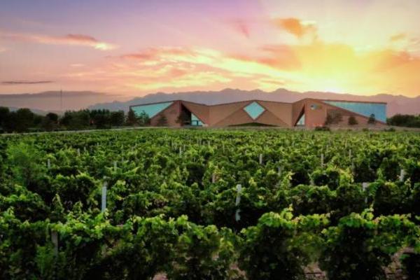 中国酿酒葡萄园碳汇交易首单落地！中粮长城天赋酒庄引领产业“绿色价值”