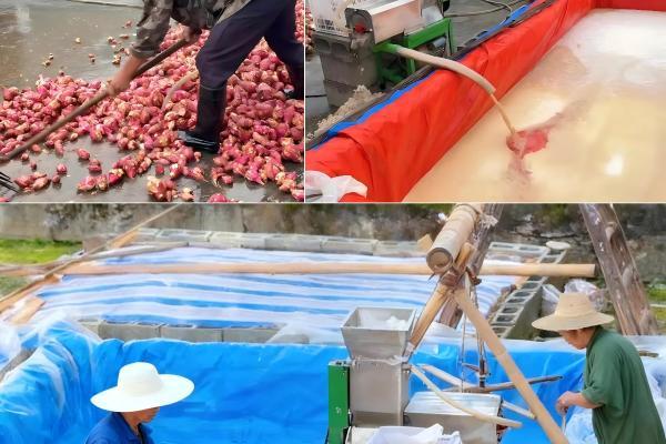 几十年认知被颠覆！同为"纯红薯粉条"，差异竟然这么大 