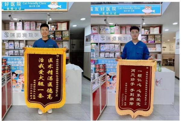 瑞派宠物医生：在纤细骨骼间修复生命裂痕，重筑力量支撑 