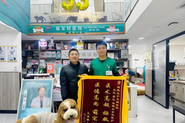 瑞派宠物医生：在纤细骨骼间修复生命裂痕，重筑力量支撑 