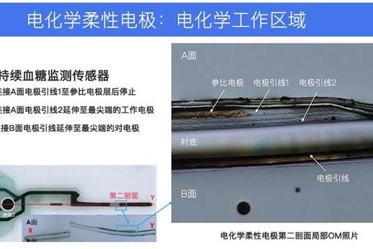 助力科研！中科数惠成功助力国家省部级中西医结合糖尿病管理防治系统重大创新“科研项目” 