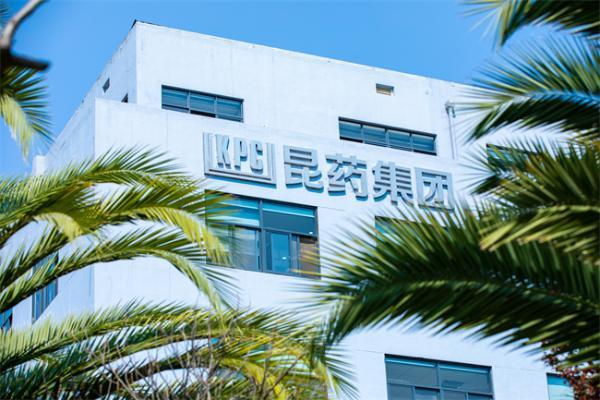 双品牌协同破局同质化：昆药集团777与1381的品牌创新之道 