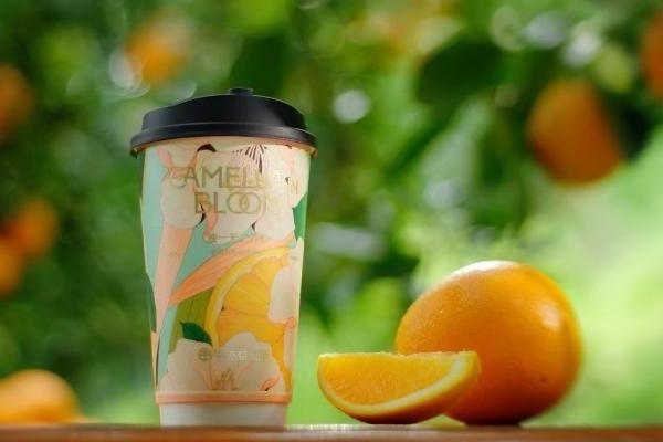 6.8亿杯之后，书亦烧仙草的新征程：做好每一杯产品 开好每一家店 