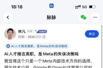 脉脉林凡参加“AI圆桌π对”,认为Meta要赶超同行，需要做人才取舍 