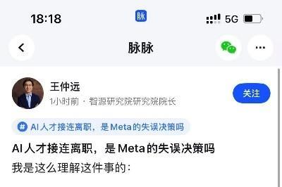 脉脉林凡参加“AI圆桌π对”,认为Meta要赶超同行，需要做人才取舍 