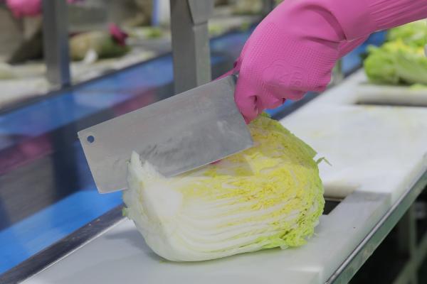 为何宗家府泡菜能成就韩式传统风味？ 