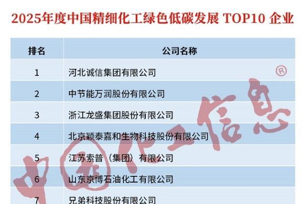 2025中国精细化工TOP100发布！ 