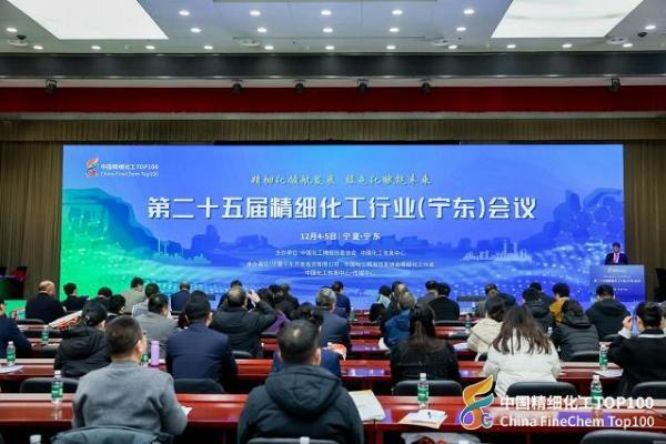 2025中国精细化工TOP100发布！ 