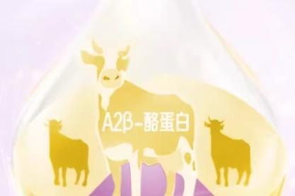 a2β-酪蛋白奶源和有机奶源哪个更好？科学深度解析 