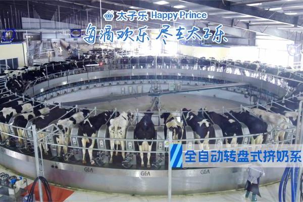 冬雪漫舞添寒意，太子乐乐弘多维营养护安康 