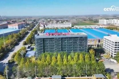 当烟火气遇上老酒香：锅圈与宋河如何在鹿邑完成产业共生 