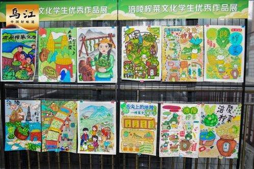 不止于舌尖，涪陵榨菜文化进校园，让一碟小菜成为美育大课