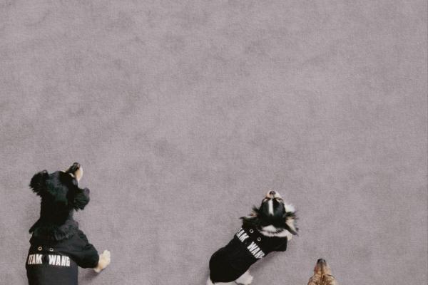  TEAM WANG design 发布 THE ORIGINAL 1 全新生活方式子系列 —— “FRIENDS” 