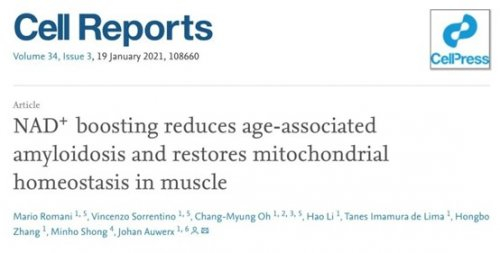 NMN护肤风靡中高产圈层，蓓茵诺重塑抗衰面膜新标准 