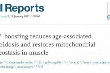 NMN护肤风靡中高产圈层，蓓茵诺重塑抗衰面膜新标准 