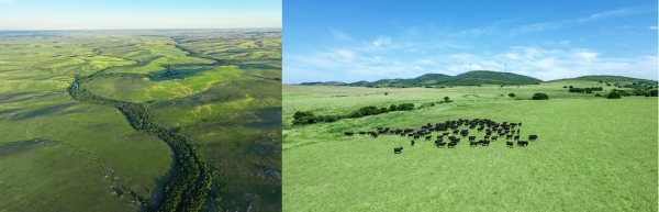 “舌尖好味 天生圭宝”：乌拉圭牛肉定义高品质美食新体验 