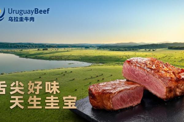 “舌尖好味 天生圭宝”：乌拉圭牛肉定义高品质美食新体验 