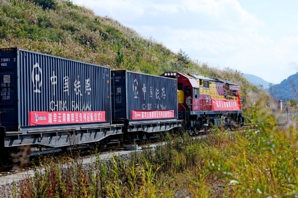 瑞幸云南咖啡豆专列发车，中国咖啡行业驶入“精耕细作”时代 