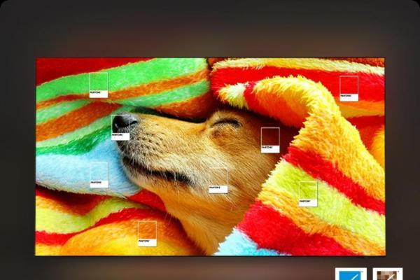 三星OLED电视：AI创新破局 带来从观影到交互全方位升级体验 