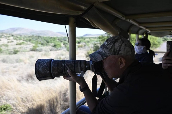 让自然留在自然：著名野生动物摄影师奚志农眼中的南非动物保护体系 
