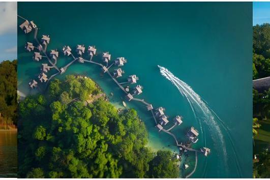 杨忠礼酒店集团邀您共度文化交融的中国新年 