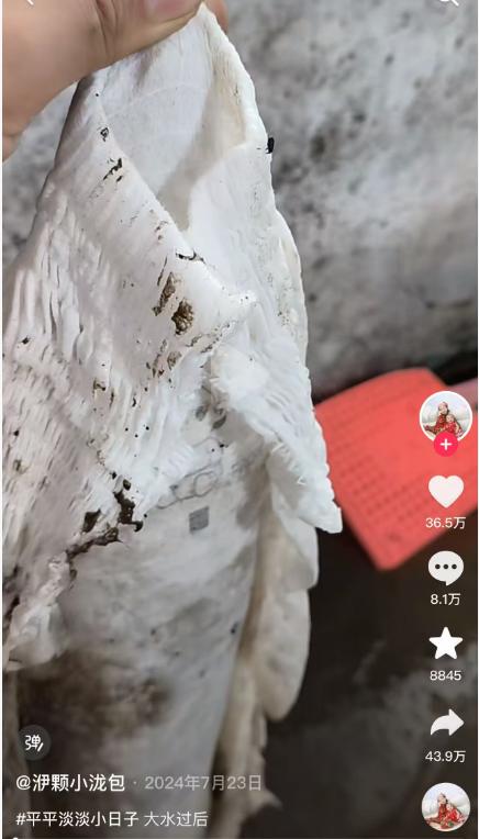 2年前防洪尿不湿火到2026！吸水力惊现“抗洪名场面” 