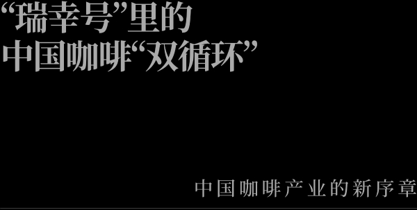 “瑞幸号”里的中国咖啡“双循环” 