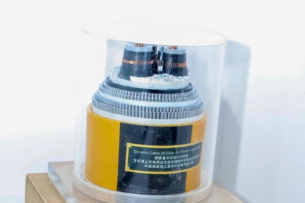 亨通集团的深蓝传奇：以人才沃土，育创新森林 