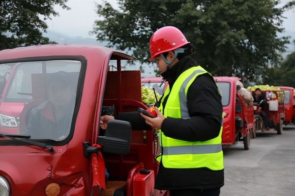 订单筑根基，服务暖人心：涪陵榨菜集团1月23日开秤收购青菜头 
