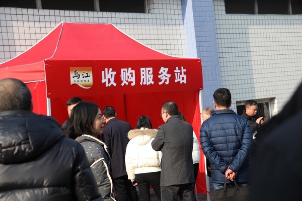 订单筑根基，服务暖人心：涪陵榨菜集团1月23日开秤收购青菜头 