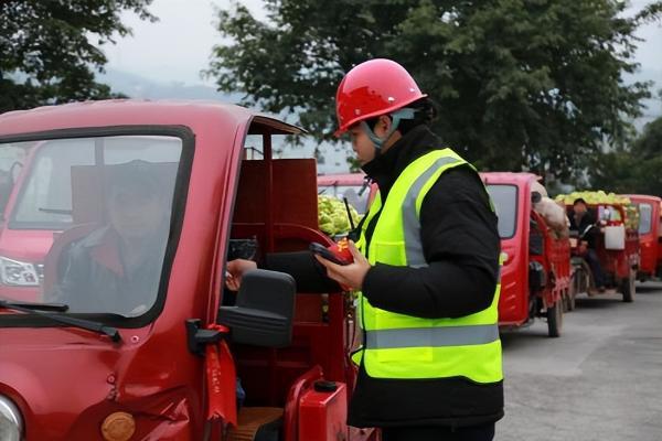 订单筑根基，服务暖人心：涪陵榨菜集团1月23日开秤收购青菜头 