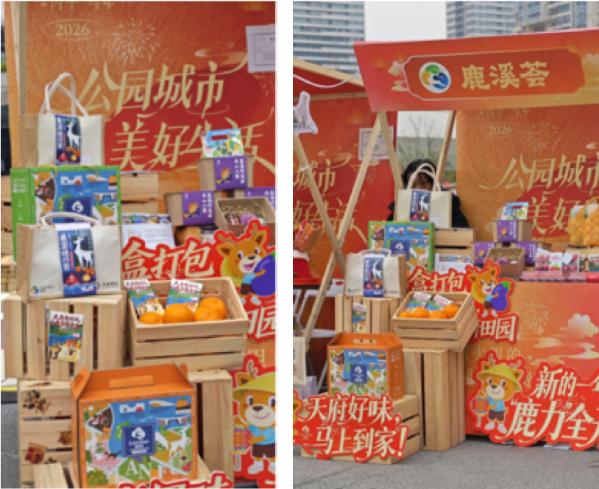 天府新区首届春季村糖会落幕 鹿溪荟点亮公园城市美好生活