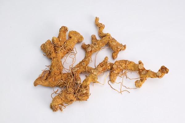 黄精种植的“共富密码”——颐珍堂模式如何激活山区内生动力 