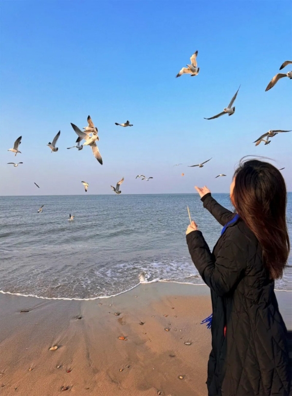  「那香海钻石沙滩」冬日大海很出片！治愈系海边打卡全收录！ 