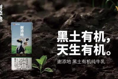 从“牛奶界爱马仕”谢添地，看消费市场的K型分层与价值深耕 