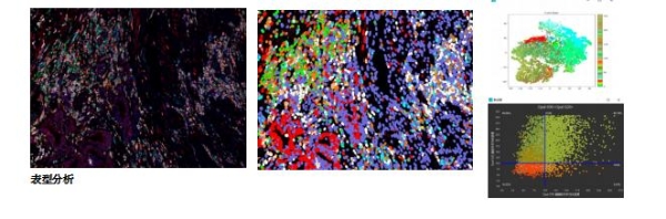  汇东佰生物科技（上海）有限公司 —— 您的空间蛋白组学一站式服务平台 