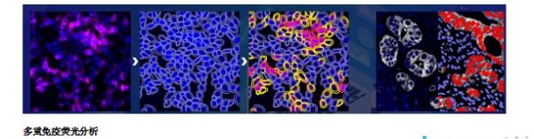  汇东佰生物科技（上海）有限公司 —— 您的空间蛋白组学一站式服务平台 