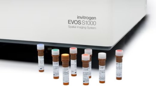  汇东佰生物科技（上海）有限公司 —— 您的空间蛋白组学一站式服务平台 