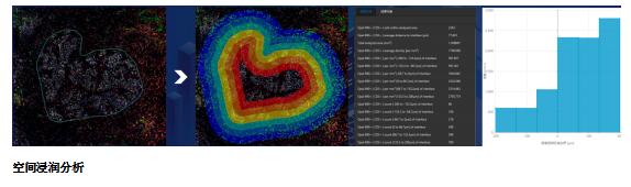  汇东佰生物科技（上海）有限公司 —— 您的空间蛋白组学一站式服务平台 