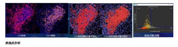  汇东佰生物科技（上海）有限公司 —— 您的空间蛋白组学一站式服务平台 