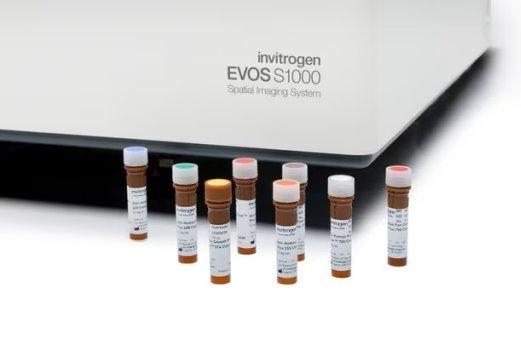  汇东佰生物科技（上海）有限公司 —— 您的空间蛋白组学一站式服务平台 